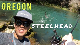 OREGON COASTAL RIVER  STEELHEAD FISHING  3 STEELHEAD IN ONE HOLE [upl. by Hakym843]