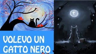 volevo un gatto nero anime [upl. by Eselahc]