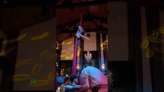 Aerial Silks Climb aerial aerialist silks climb castle dinnershow trick [upl. by Ttergram]