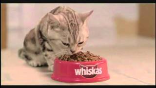 WHISKAS® Supreme  Tao Bem II [upl. by Ettezoj]