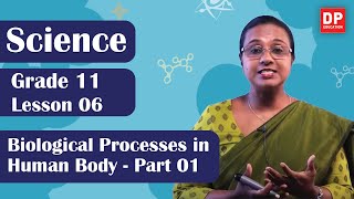 Lesson 06  Biological Processes in Human Body Part 01  Grade 11 Science in English [upl. by Hgielram]