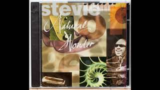 Stevie Wonder – I Wish [upl. by Aicul]