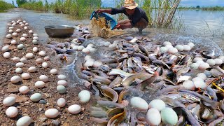 awesome fishing catch a lot of fish on the road by best hand a smart fisherman skills [upl. by Uball]