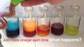 Baking Soda and Vinegar Reaction [upl. by Ariaic]