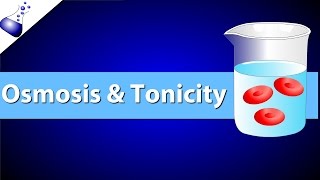 Osmosis and Tonicity [upl. by Trula]