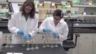 Anaerobic Biodegradation Experiment [upl. by Aubrette]