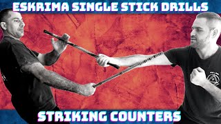 Escrima Single Stick Fighting Drills  Striking Counters [upl. by Torres237]