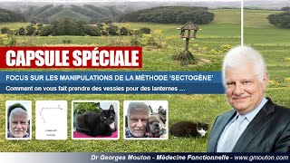 FOCUS SUR LES MANIPULATIONS DE LA MÉTHODE SECTOGÈNE [upl. by Gaynor502]