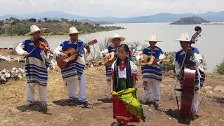 Orquesta Pacanda  La Yunuencita [upl. by Tran439]