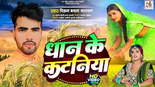 dhan kantni Songधान के कटनिया vikram Bawal Narayandhan katabay chhay jara me saiyablast song [upl. by Alian315]