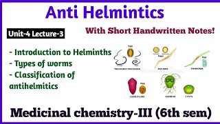 Anthelmintic Drugs Basic Introduction and Classification of Anthelmintic Drugs  Medicinal Chemistry [upl. by Nuriel682]