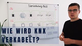 Verkabelung KNX Empfehlung der Struktur im EFH KNX für Anfänger Folge 2 Smarthome [upl. by Ycram]