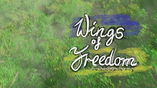 TF Video Wings of Freedom [upl. by Schaab]