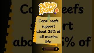 Coral reefs 🐠🌟 coralreefs marinebiodiversity sealifefacts youtubeshorts coral facts seafacts [upl. by Morrell669]