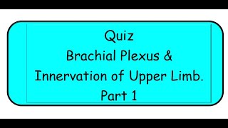 Brachial Plexus amp Upper Limb Nerves Quiz [upl. by Eiliak]