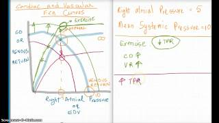 Easy Ways to Understand Cardiac and Vascular Function Curves [upl. by Neilson]