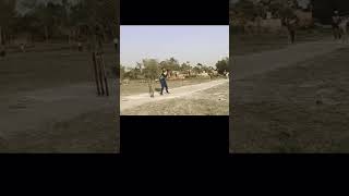 Woofer Song CricketmatchJogiya [upl. by Alimat]