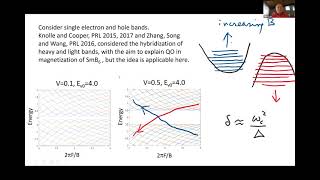 Quantum oscillations in the resistivity of an excitonic insulator [upl. by Fredenburg]