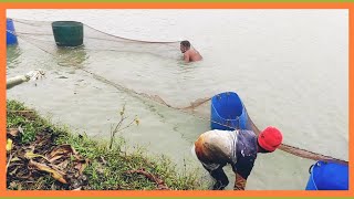 Trawling fishing with nets [upl. by Kahn300]