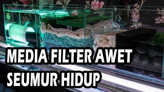 TOP MEDIA FILTER TERBAIK UNTUK AROWANA MUDAH PERAWATAN 2022 [upl. by Elleuqram]