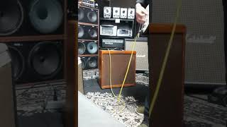 74 Stratocaster  56 Bassman full restore original speakers [upl. by Rebmik]