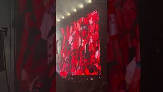 blink182 singing ChappellRoan’s ‘Pink Pony Club’ at their Lollapalooza closing set [upl. by Aicekal]