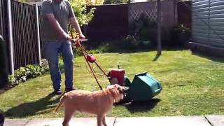 Qualcast Suffolk Punch 14quot petrol lawn mower [upl. by Diannne19]