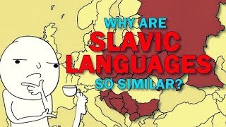 Slavic Languages  Why are they so similar to eachother [upl. by Peer689]