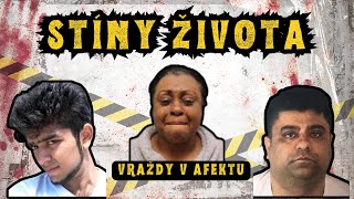 Ep 26 Vraždy v afektu [upl. by Chaffinch]