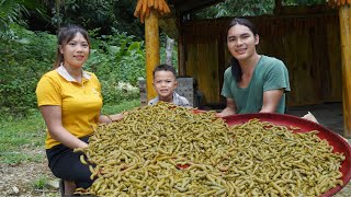 Harvesting caterpillar for sale daily life on the farm SURVIVAL ALONE [upl. by Thayne]