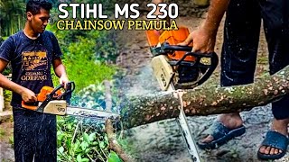 STIHL MS 230 CHANSAW MENEBANG POHON RAMBUTAB [upl. by Leinad]