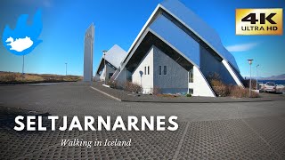 Iceland Walking Tour  Seltjarnarnes 4K [upl. by Fujio]