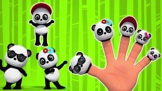 Baby Bao Panda  dito Famiglia  Fumetto 3D per i bambini  video educativo  Finger Family [upl. by Calvo910]