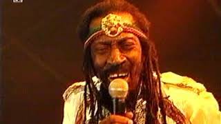 Bunny Wailer Live At Chiemsee Reggae Summer 2001 [upl. by Olocin611]