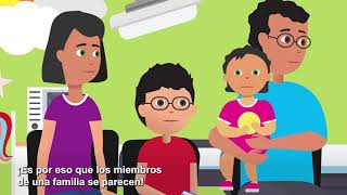 Cómo los cromosomas y genes afectan las condiciones genéticas en los niños Spanish [upl. by Onimixam207]