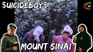 YOU WANNA CLIMB THIS MOUNTAIN  uicideboy Mount Sinai Reaction [upl. by Liagaba]