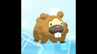 top 5 bidoof meme shorts [upl. by Caresa857]