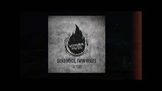 Beko Voice Twin Heads  MEDULA USHUAIA MUSIC [upl. by Ennobe]