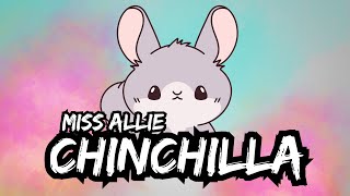 Miss Allie • CHINCHILLA Official Musicvideo [upl. by Adnavoj]