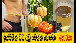 ඉක්මනින් බර අඩු කරන ගොරකා පානය Goraka drink for weight loss  Kettu Wenna [upl. by Desmund]