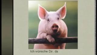 Schweinereien zum Jahreswechsel 2017 [upl. by Yedoc988]