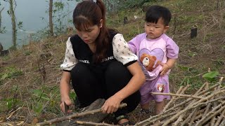 Planting more cassava crops Cooking bran for pigs watering the crops Life of a mother and child [upl. by Enywad]