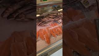 GERMANY 🇩🇪 youtubeshorts nature lakes see fish fisch deutschland [upl. by Arakaj743]