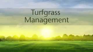 Turfgrass Management [upl. by Rehpotsihrc]