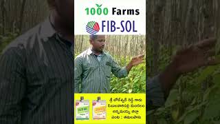 Impact of FIBSOL technology in Betelvine [upl. by Anuqahs]