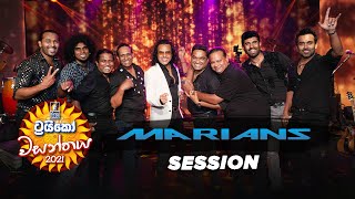 MARIANS Session  Trico වසන්තය with MARIANS [upl. by Auhesoj]