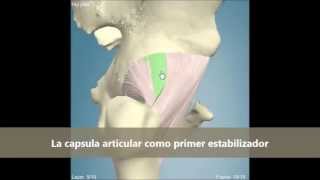LA ARTICULACIÓN COXOFEMORAL [upl. by Thomas]