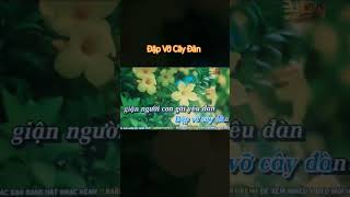 Đập Vỡ Cây Đàn karaoke karaoke bolero hungankhang [upl. by Ailem]