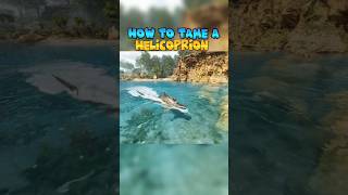 🦈How to tame a Helicoprion in ARK Survival Ascended arksurvivalascended ark helicoprion [upl. by Itnaihc]