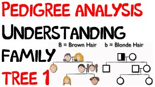 Pedigree analysis  understanding family tree 1 [upl. by Gilmer]